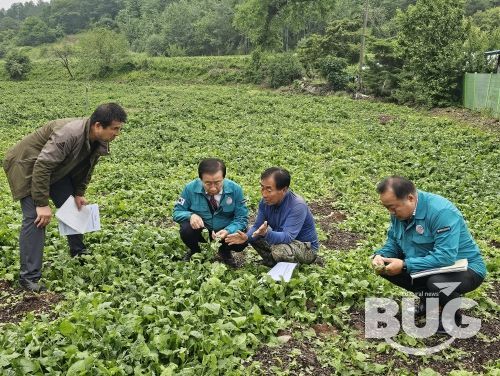 피해 농가 조사 모습