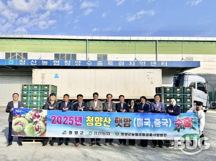 2025년 청양밤 해외 수출길 올랐다