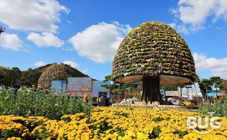 함평군, 인플루언서 초청 ‘2025 함평 관광 팸투어’ 개최