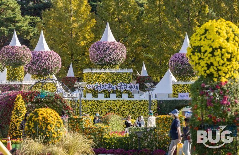 전국을 물들인 익산 천만송이 국화축제 대흥행