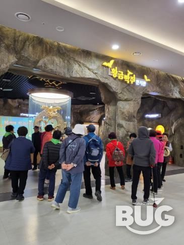 함평추억공작소 전경 및 황금박쥐상