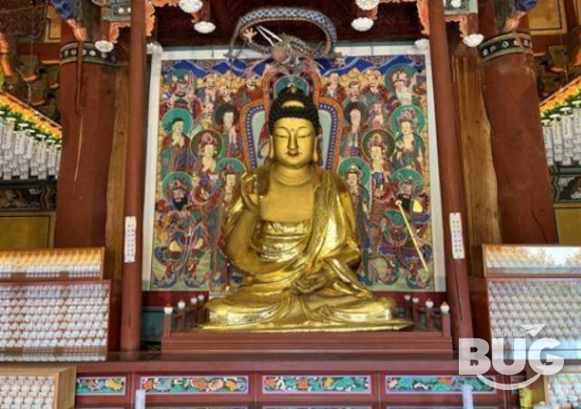 세종 비암사 소조아미타여래좌상