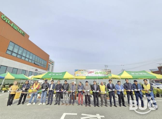 국화전시회 개최 모습