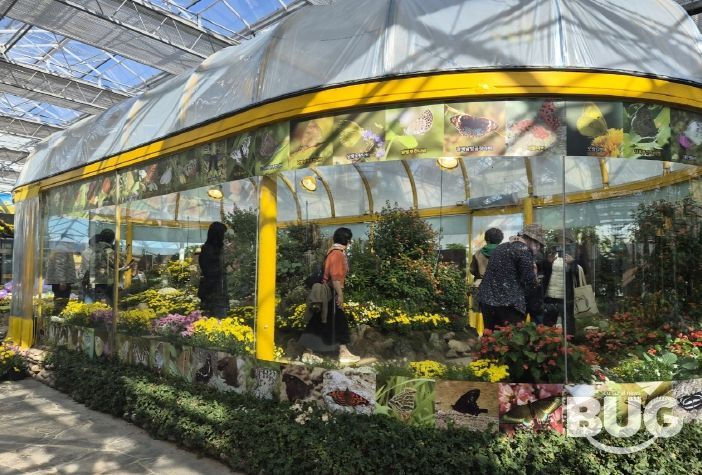 국향 속 나비의 날갯짓…함평군, 생태축제의 새 장 열다