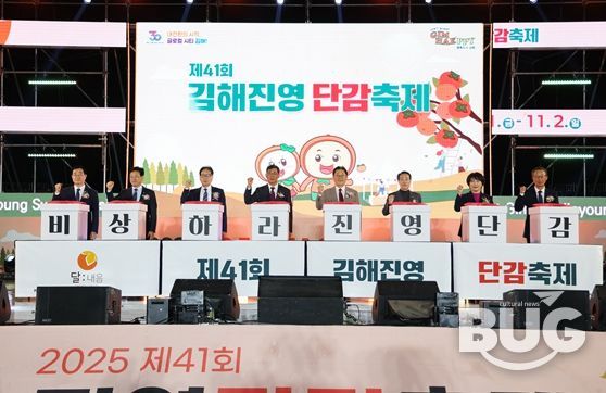 제41회 김해진영단감축제