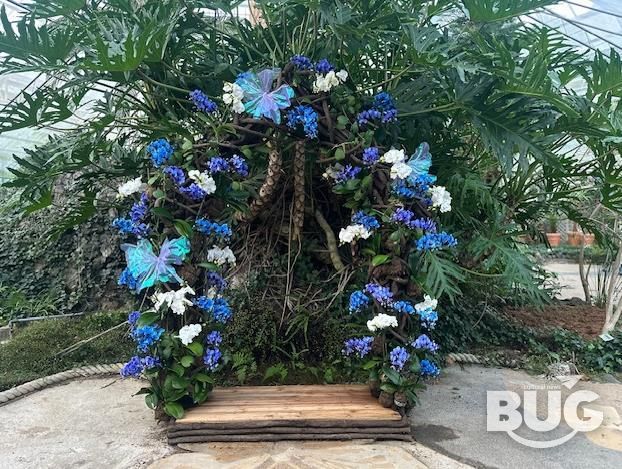 함평군 자연생태공원, 호접란 특별개최전 호접란 포토존