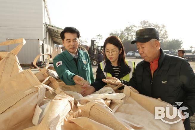 보은군, 2025년산 공공비축미곡 건조벼 1,078톤 매입