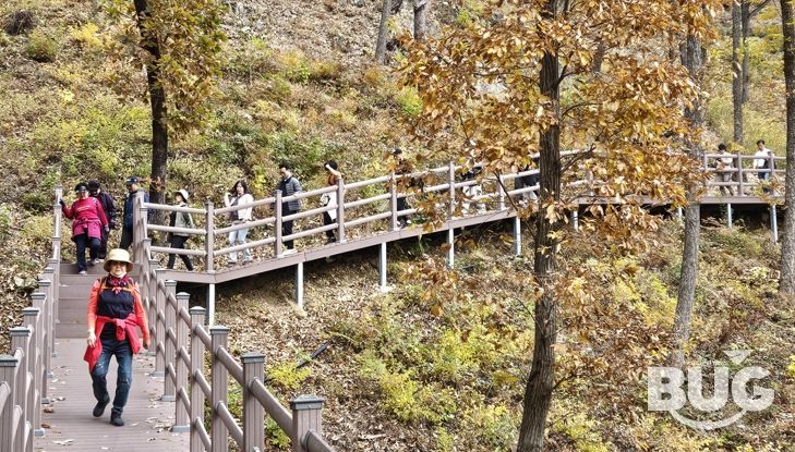 보은군, 단풍길 따라 힐링걷기‘속리산 둘레길 걷기 축제’ 성황리 마무리