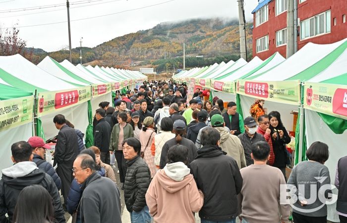 정선군, ‘2025 정선사과축제’성황리 마무리